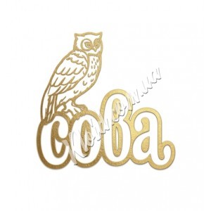 Бюджетні засоби для догляду за взуттям СОВА Бюджетні засоби для догляду за взуттям СОВА