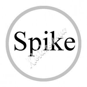 Spike