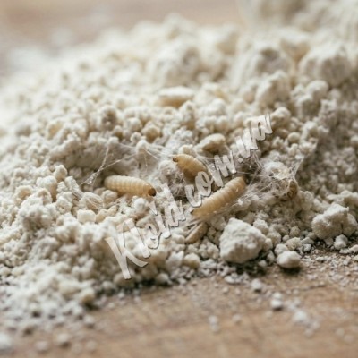 Боротьба з харчовою міллю на кухні: звідки береться та які пастки реально працюють