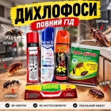 Чому Дихлофос «не спрацював»: 5 головних помилок при обробці квартири від комах Чому Дихлофос «не спрацював»: 5 головних помилок при обробці квартири від комах