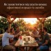 Як захиститися від укусів комах: ефективні поради та засоби
